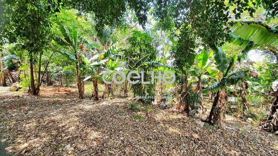 terreno-venda-bairro-parque-taquaral-campinas-sp--611407