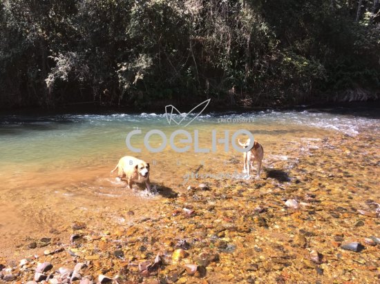 fazenda-venda-terra-em-araxa-quase-46-hectares-ribeirao-passa-em-frente-a-casa-documentacao-tudo-em-ordem-958840