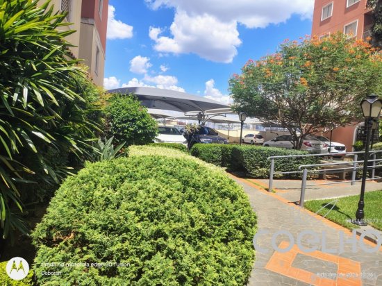 apartamento-aluguel-excelente-apartamento-500mts-da-lagoa-do-taquaral-1070415