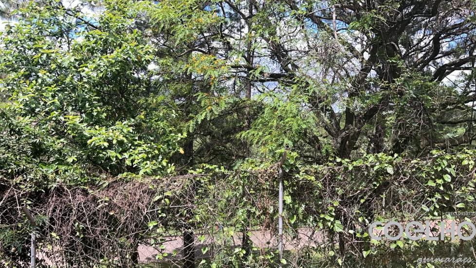 terreno-venda-condominio-palmeiras-da-hipica-com-502-60m2-oportunidade!!!-1148131