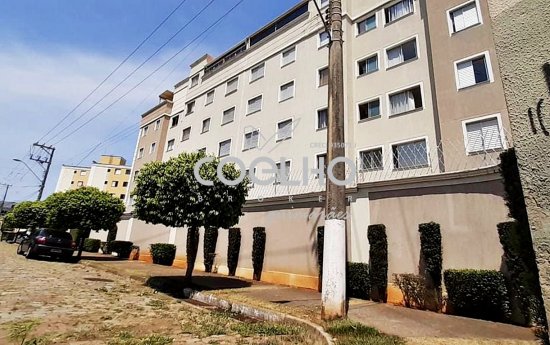 apartamento-venda-ponte-preta-campinas-sp--481937