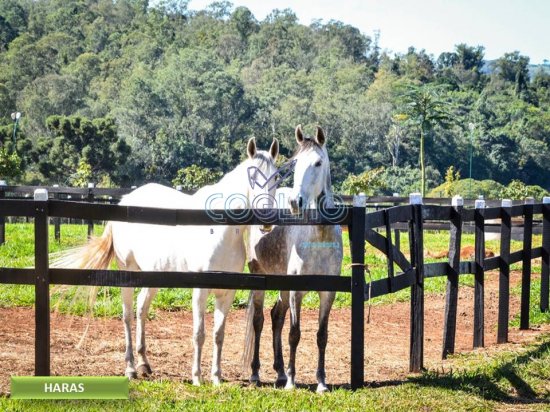 terreno-venda-haras-patente-|-jaguariuna-182080